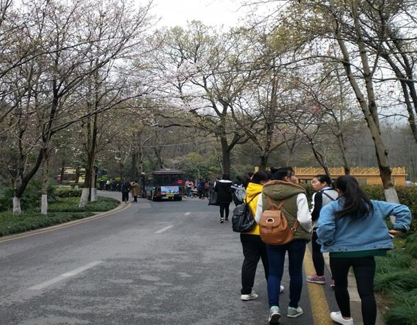 商学院部分班级组织团日活动发扬“雷锋精神”